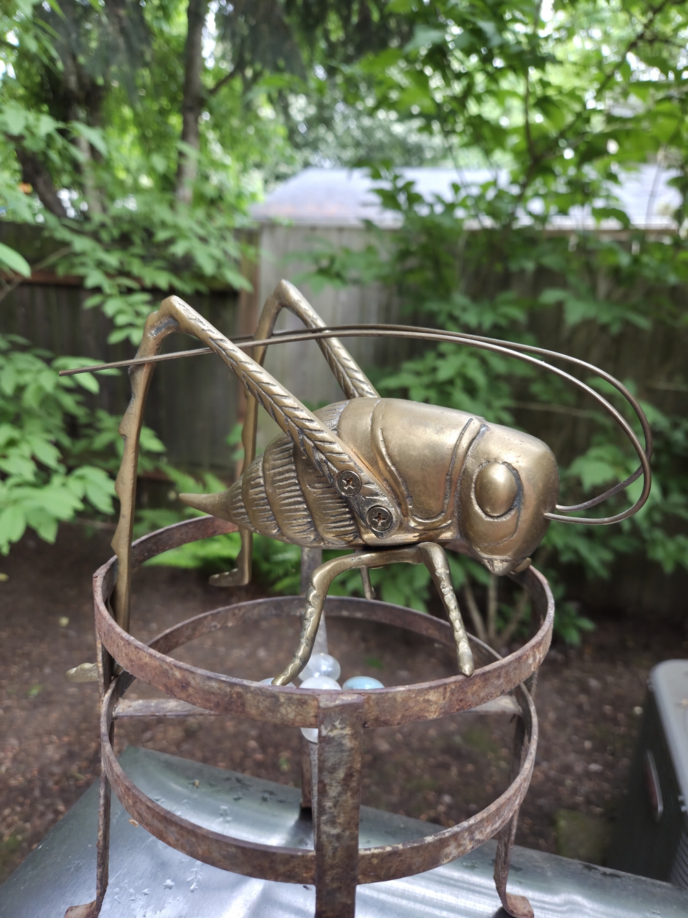 Brass Grasshopper Sculpture Accent - Decorative Home Accent....1.28 Lbs.